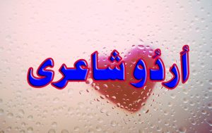 heart-5190672_960_720