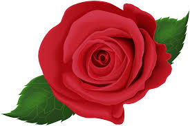 images (1)