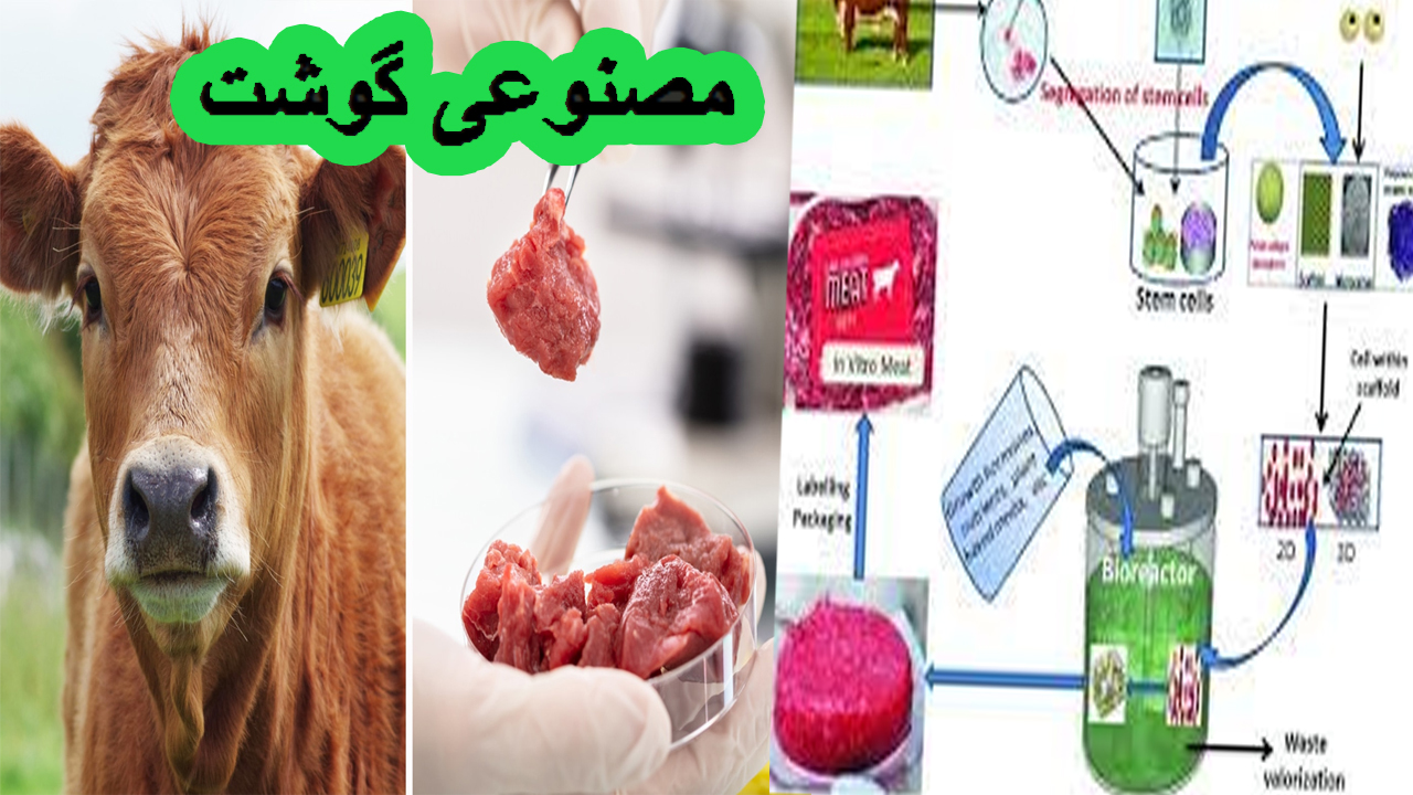 artificial-meat-in-pakistan