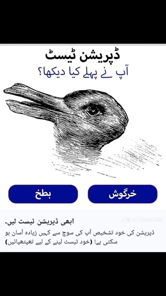 ڈپریشن ٹیسٹ آپ نے پہلے کیا دیکھا؟